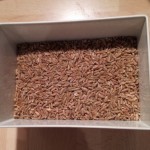 Grünkern